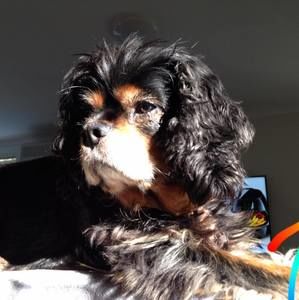 Meet your Posher, Tracey